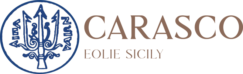 Logo Hotel Carasco2.jpg